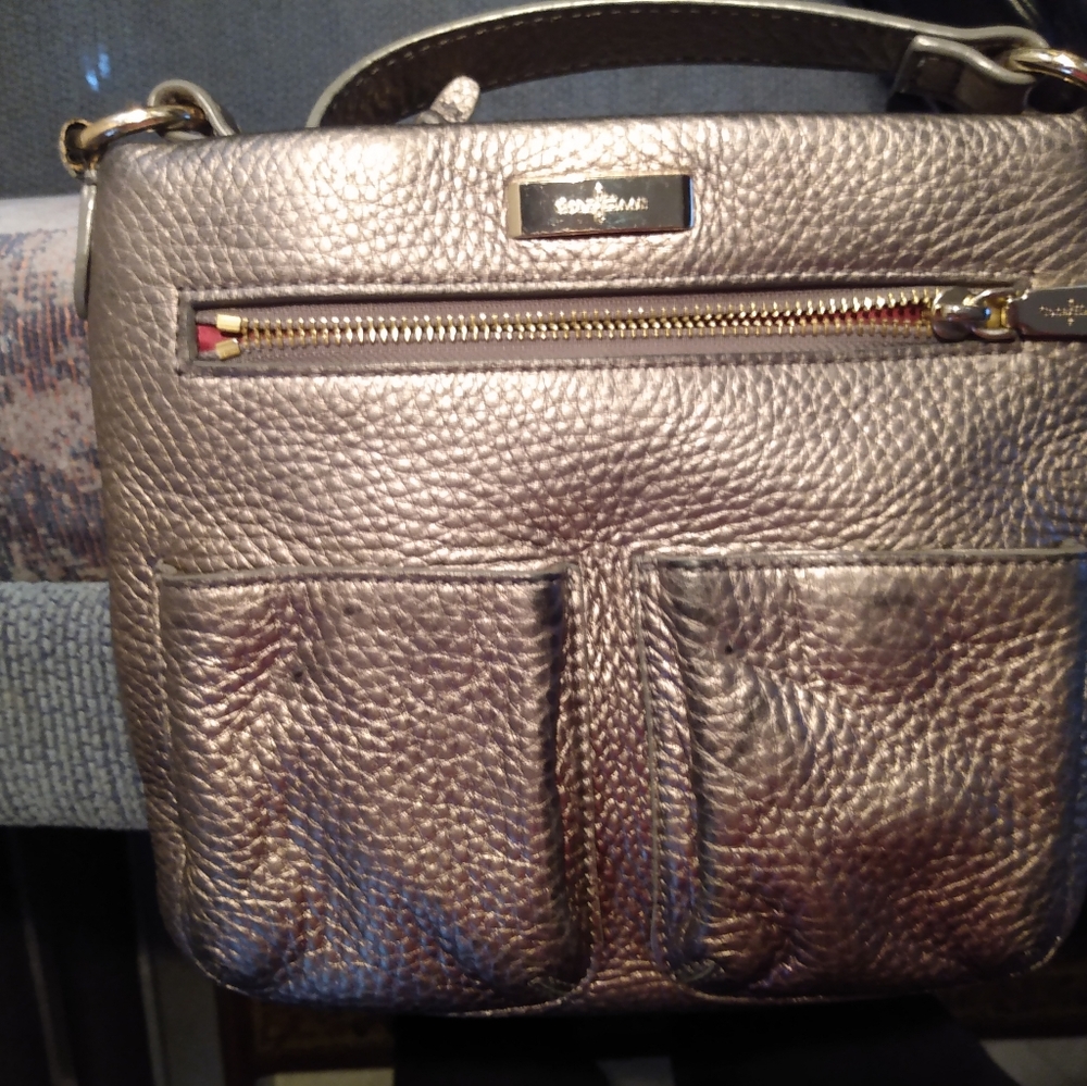 Silver, purple silk lining, cross body strap